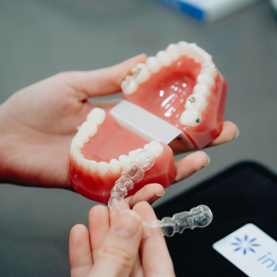 pexels kaplanart 13207280